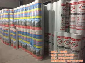 丙綸防水卷材 晟諾防水廠的專業(yè)施工與應(yīng)用